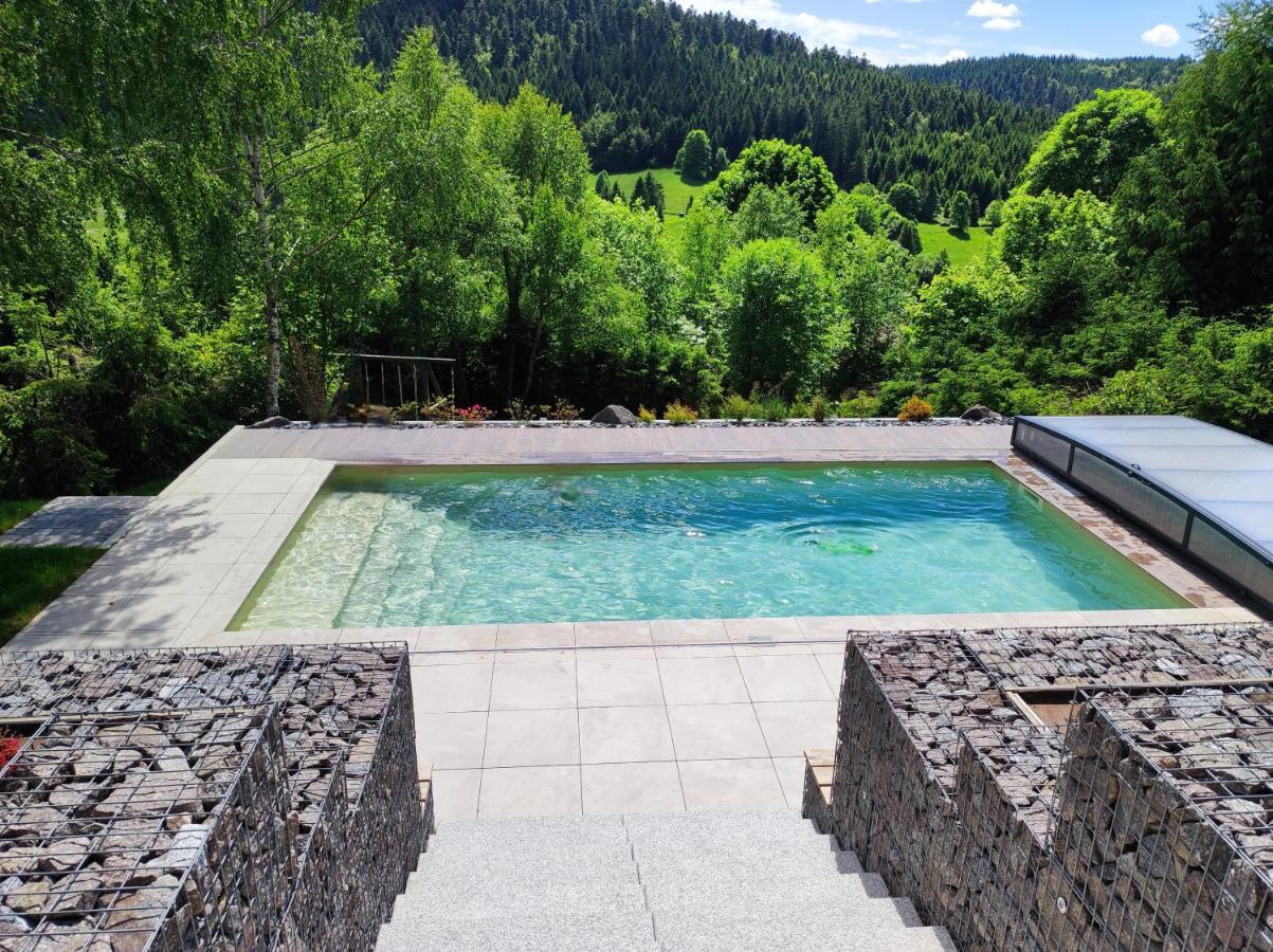 Le Cerf, Chalet Cocooning Avec Piscine Et Billard Ban-sur-Meurthe-Clefcy Экстерьер фото